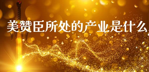 美赞臣所处的产业是什么_https://wap.fcdydaikuan.com_投资策略_第1张