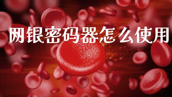 网银密码器怎么使用_https://wap.fcdydaikuan.com_投资策略_第1张