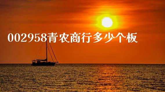 002958青农商行多少个板_https://wap.fcdydaikuan.com_金融机构_第1张