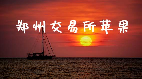 郑州交易所苹果_https://wap.fcdydaikuan.com_理财顾问_第1张