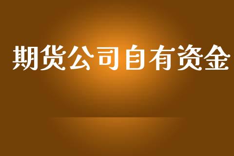 期货公司自有资金_https://wap.fcdydaikuan.com_金融机构_第1张