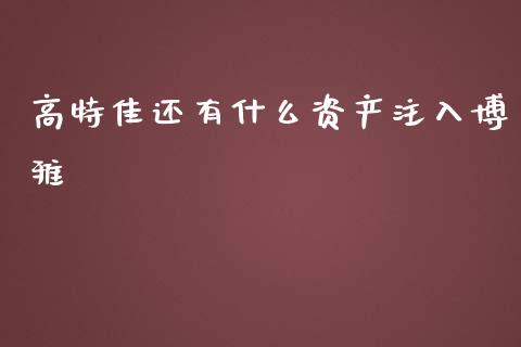 高特佳还有什么资产注入博雅_https://wap.fcdydaikuan.com_投资策略_第1张