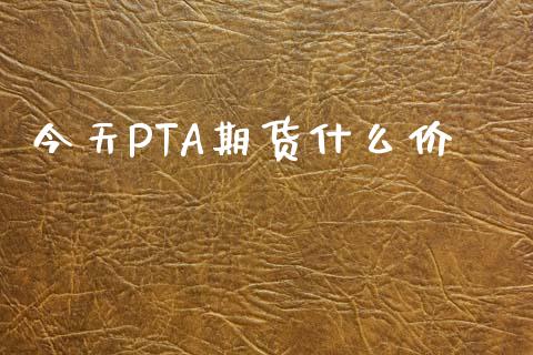 今天PTA期货什么价_https://wap.fcdydaikuan.com_投资策略_第1张