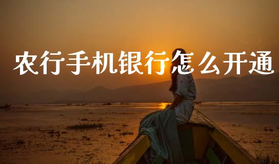 农行手机银行怎么开通_https://wap.fcdydaikuan.com_国际投资_第1张