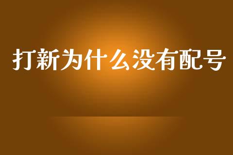 打新为什么没有配号_https://wap.fcdydaikuan.com_国际投资_第1张