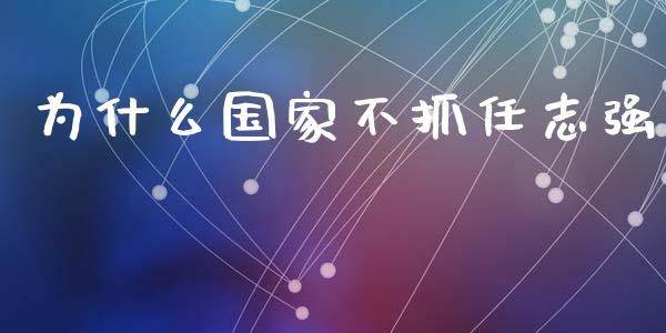 为什么国家不抓任志强_https://wap.fcdydaikuan.com_新股数据_第1张