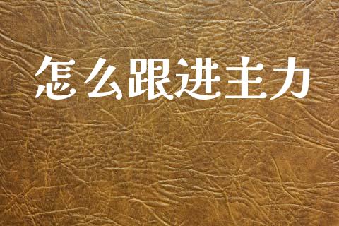 怎么跟进主力_https://wap.fcdydaikuan.com_国际投资_第1张