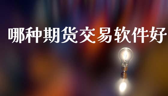 哪种期货交易软件好_https://wap.fcdydaikuan.com_理财顾问_第1张