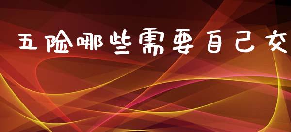 五险哪些需要自己交_https://wap.fcdydaikuan.com_理财顾问_第1张
