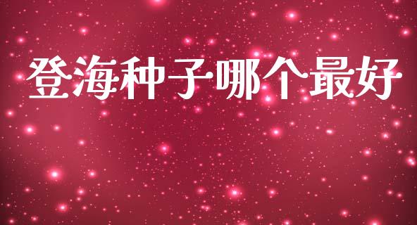 登海种子哪个最好_https://wap.fcdydaikuan.com_理财顾问_第1张