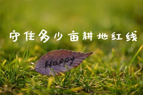 守住多少亩耕地红线_https://wap.fcdydaikuan.com_期货品种_第1张
