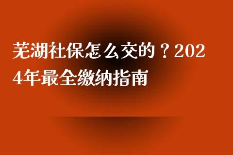 芜湖社保怎么交的？2024年最全缴纳指南_https://wap.fcdydaikuan.com_期货品种_第1张