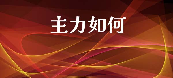 主力如何_https://wap.fcdydaikuan.com_金融机构_第1张