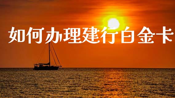如何办理建行白金卡_https://wap.fcdydaikuan.com_国际投资_第1张