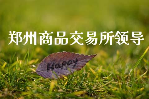 郑州商品交易所领导_https://wap.fcdydaikuan.com_金融机构_第1张