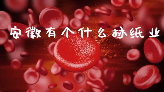 安徽有个什么林纸业_https://wap.fcdydaikuan.com_理财顾问_第1张