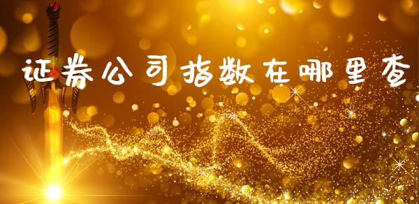 证券公司指数在哪里查_https://wap.fcdydaikuan.com_理财顾问_第1张