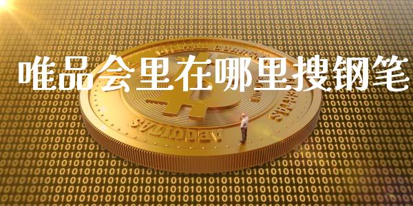 唯品会里在哪里搜钢笔_https://wap.fcdydaikuan.com_期货品种_第1张