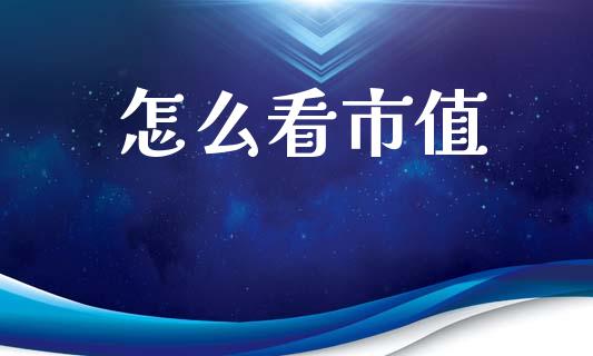 怎么看市值_https://wap.fcdydaikuan.com_投资策略_第1张