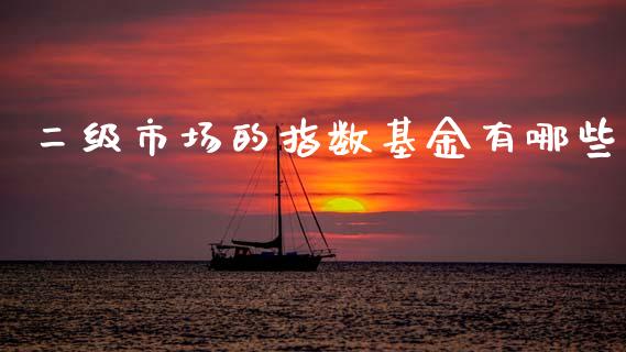 二级市场的指数基金有哪些_https://wap.fcdydaikuan.com_期货品种_第1张