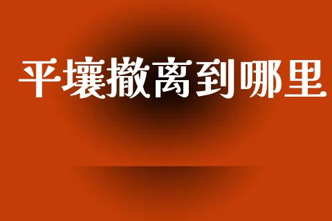 平壤撤离到哪里_https://wap.fcdydaikuan.com_期货品种_第1张
