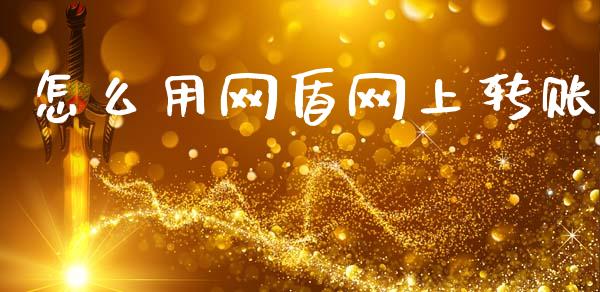 怎么用网盾网上转账_https://wap.fcdydaikuan.com_理财顾问_第1张