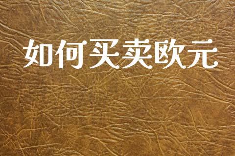 如何买卖欧元_https://wap.fcdydaikuan.com_国际投资_第1张