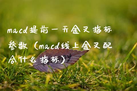 macd提前一天金叉指标参数(macd线上金叉配合什么指标)_国际投资_第1张_国际投资_理财顾问_投资策略_金融机构 macd提前一天金叉指标参数(macd线上金叉配合什么指标)_https://wap.fcdydaikuan.com_国际投资_第1张