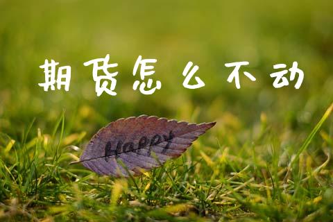 期货怎么不动_https://wap.fcdydaikuan.com_国际投资_第1张