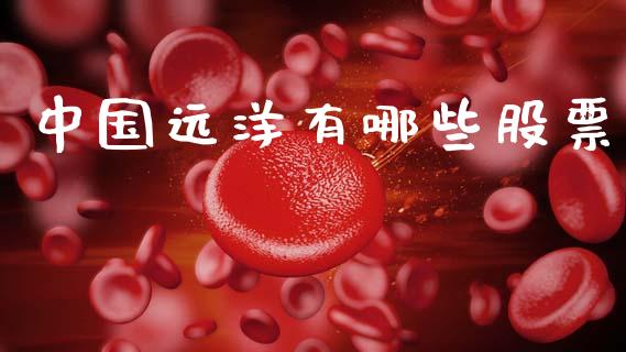 中国远洋有哪些股票_https://wap.fcdydaikuan.com_投资策略_第1张