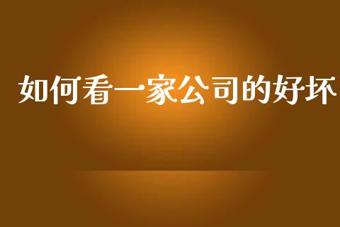 如何看一家公司的好坏_https://wap.fcdydaikuan.com_投资策略_第1张
