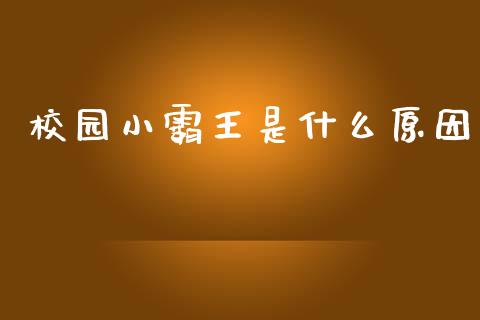 校园小霸王是什么原因_https://wap.fcdydaikuan.com_国际投资_第1张