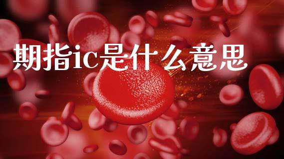 期指ic是什么意思_https://wap.fcdydaikuan.com_国际投资_第1张