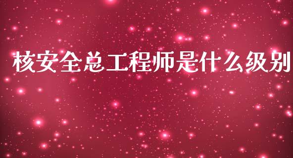 核安全总工程师是什么级别_https://wap.fcdydaikuan.com_期货品种_第1张