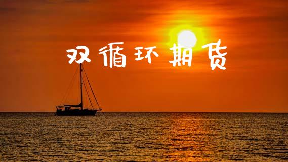 双循环期货_https://wap.fcdydaikuan.com_投资策略_第1张