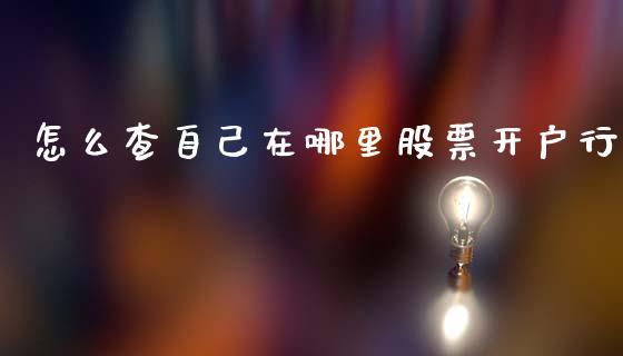 怎么查自己在哪里股票开户行_https://wap.fcdydaikuan.com_期货品种_第1张