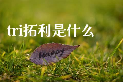 tri拓利是什么_https://wap.fcdydaikuan.com_金融机构_第1张
