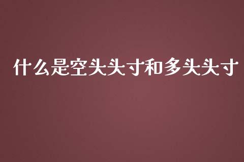 什么是空头头寸和多头头寸_https://wap.fcdydaikuan.com_理财顾问_第1张