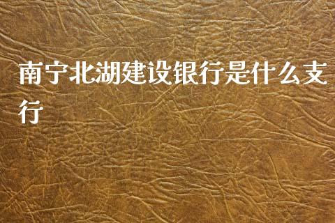南宁北湖建设银行是什么支行_https://wap.fcdydaikuan.com_新股数据_第1张