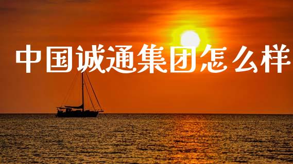 中国诚通集团怎么样_https://wap.fcdydaikuan.com_期货品种_第1张