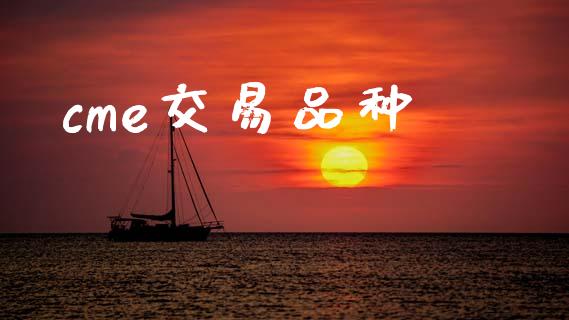 cme交易品种_https://wap.fcdydaikuan.com_金融机构_第1张