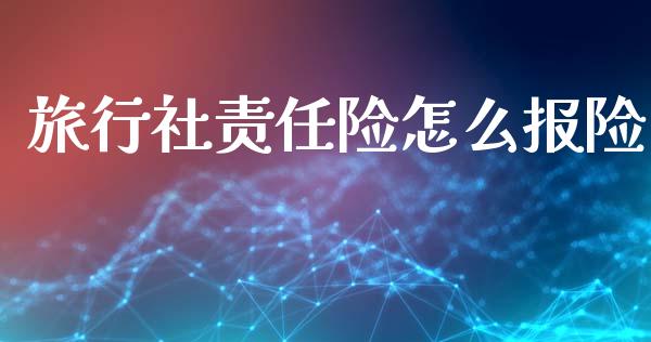 旅行社责任险怎么报险_https://wap.fcdydaikuan.com_投资策略_第1张