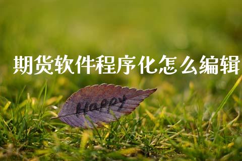 期货软件程序化怎么编辑_https://wap.fcdydaikuan.com_金融机构_第1张