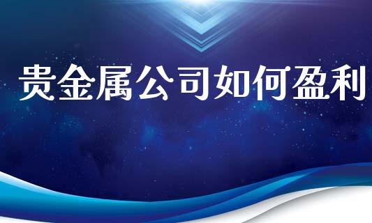 贵金属公司如何盈利_https://wap.fcdydaikuan.com_理财顾问_第1张