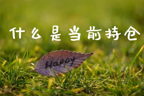 什么是当前持仓_期货品种_第1张_国际投资_理财顾问_投资策略_金融机构 什么是当前持仓_https://wap.fcdydaikuan.com_期货品种_第1张