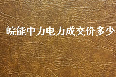 皖能中力电力成交价多少_https://wap.fcdydaikuan.com_国际投资_第1张