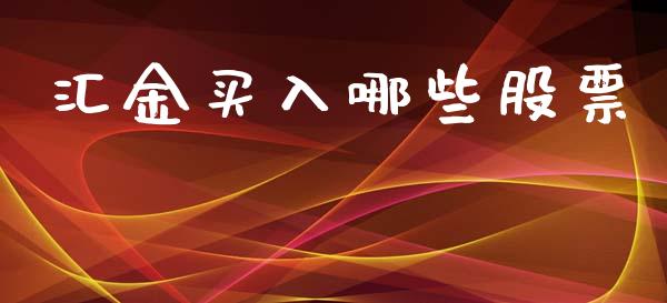 汇金买入哪些股票_https://wap.fcdydaikuan.com_国际投资_第1张