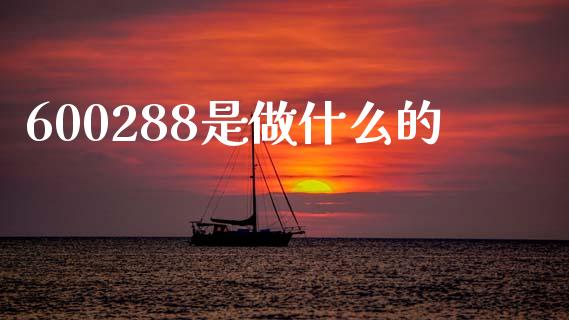 600288是做什么的_https://wap.fcdydaikuan.com_新股数据_第1张
