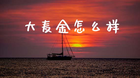 大麦金怎么样_https://wap.fcdydaikuan.com_理财顾问_第1张