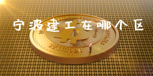 宁波建工在哪个区_https://wap.fcdydaikuan.com_国际投资_第1张